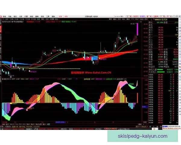 巴萨克赛尔控球能力分析：状态稳健，值得关注球队表现趋势
